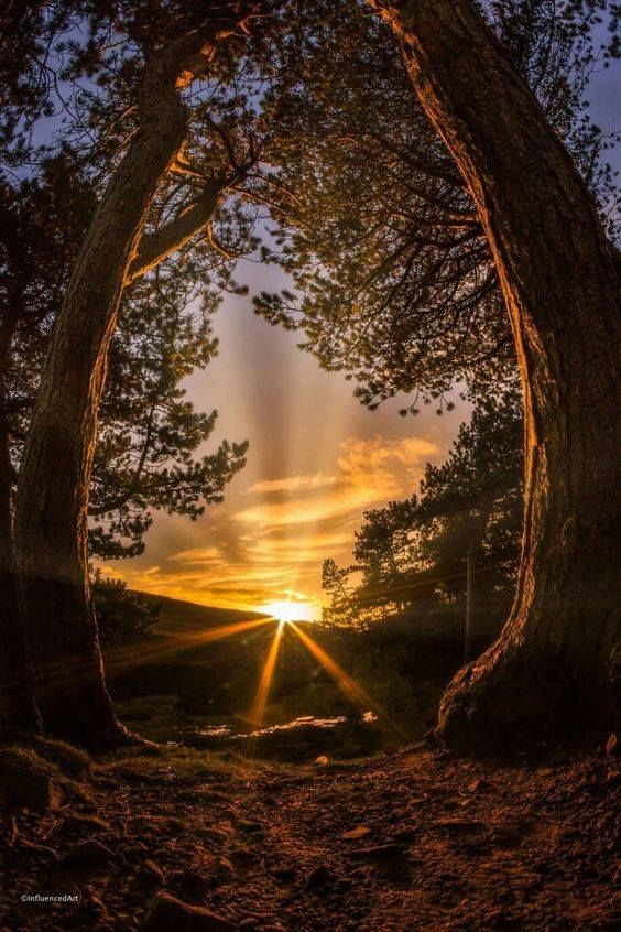 Variant only available in sellings - 2